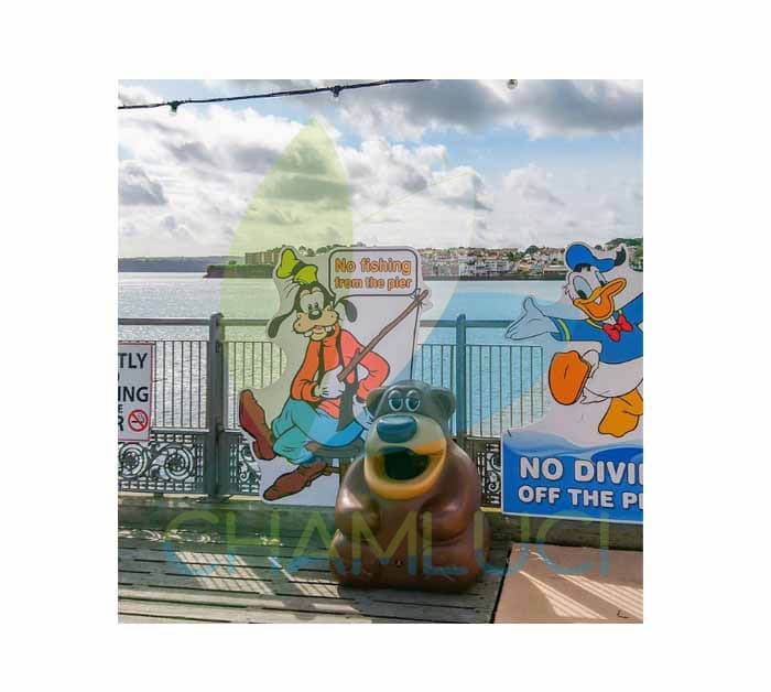 Tacho en forma de oso-8